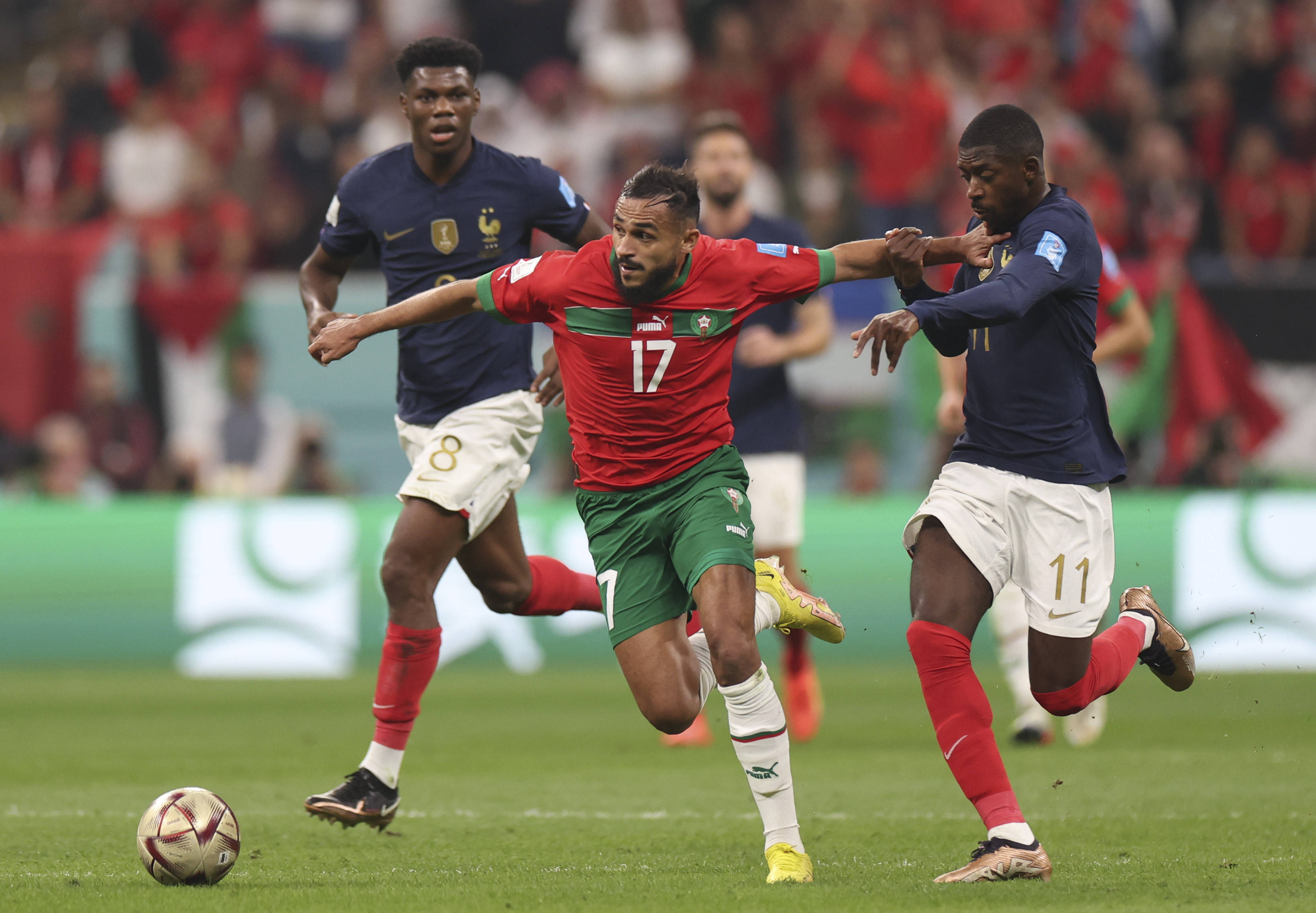 升起的新星 升起的新星