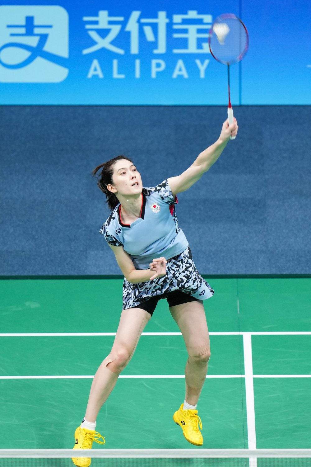 队友的喜爱 队友的喜爱