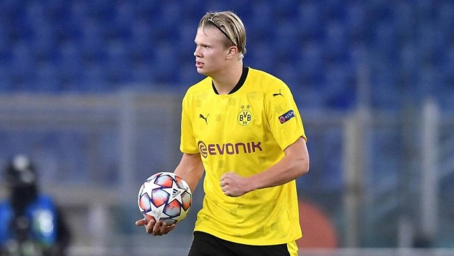 数据闭环 数据闭环